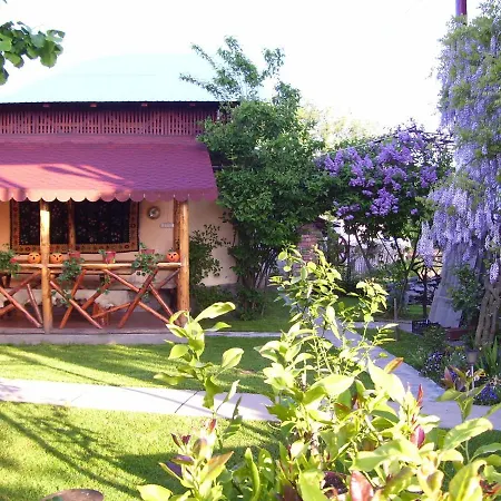 Guest house Pensiunea Ioana 3*