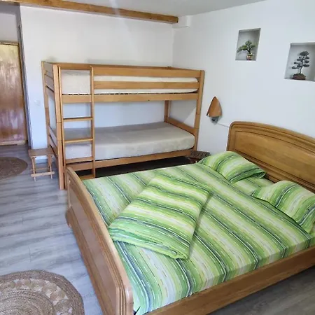 Pensiunea Ioana Casa de hóspedes 3*