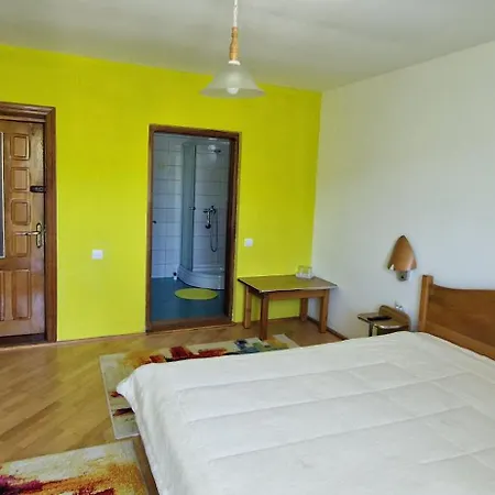 Casa de hóspedes Pensiunea Ioana 3*