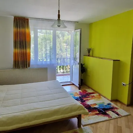 Pensiunea Ioana Guest house