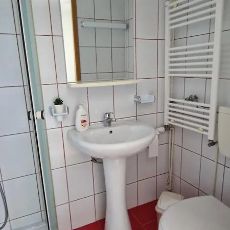 Pensiunea Ioana Casa de hóspedes 3*