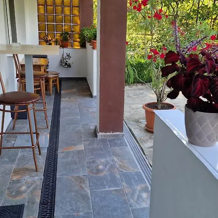 Pensiunea Ioana Guest house 3*