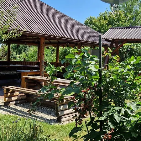 Guest house Pensiunea Ioana
