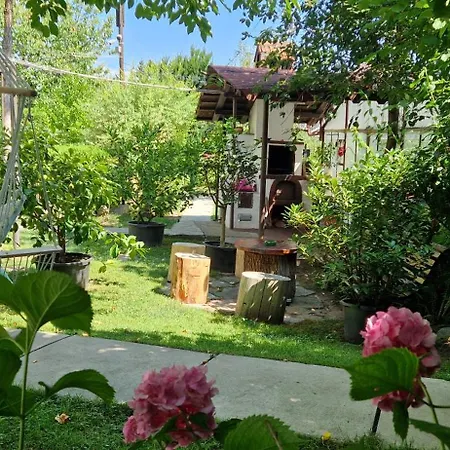 Casa de hóspedes Pensiunea Ioana 3*